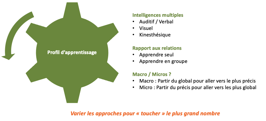 profil apprentissage