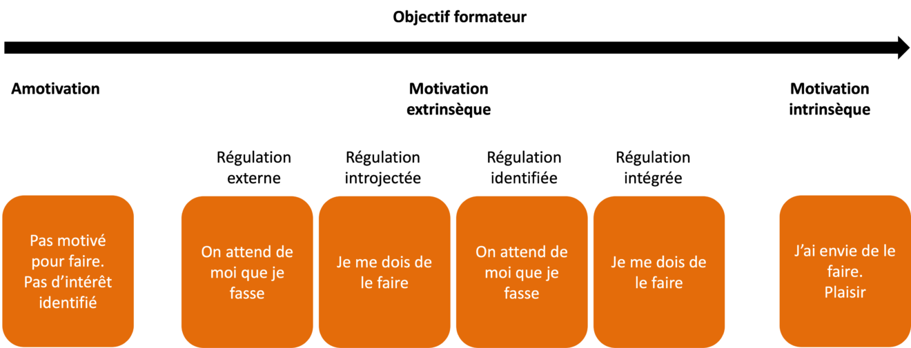 Motivation extrinsèque et intrinsèque en formation